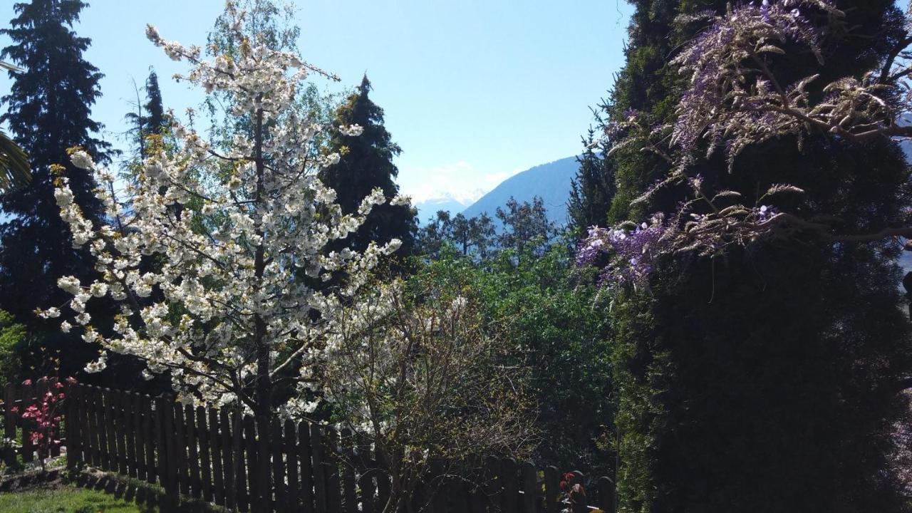 Ferienwohnung Hahnenkamm Rainegg Schenna Exterior foto